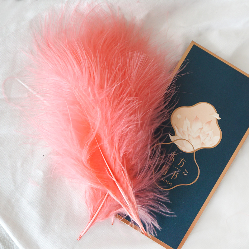 50Pcs Fluffy Turkey Marabou Fe - Feather Trim Marabou incelemesi ve fiyatı