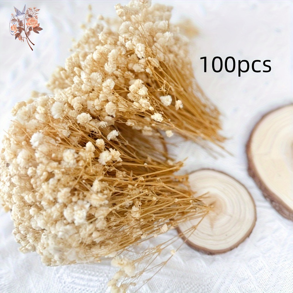 100pcs Mini Dried Baby's Breat - Embellish Craft incelemesi ve fiyatı