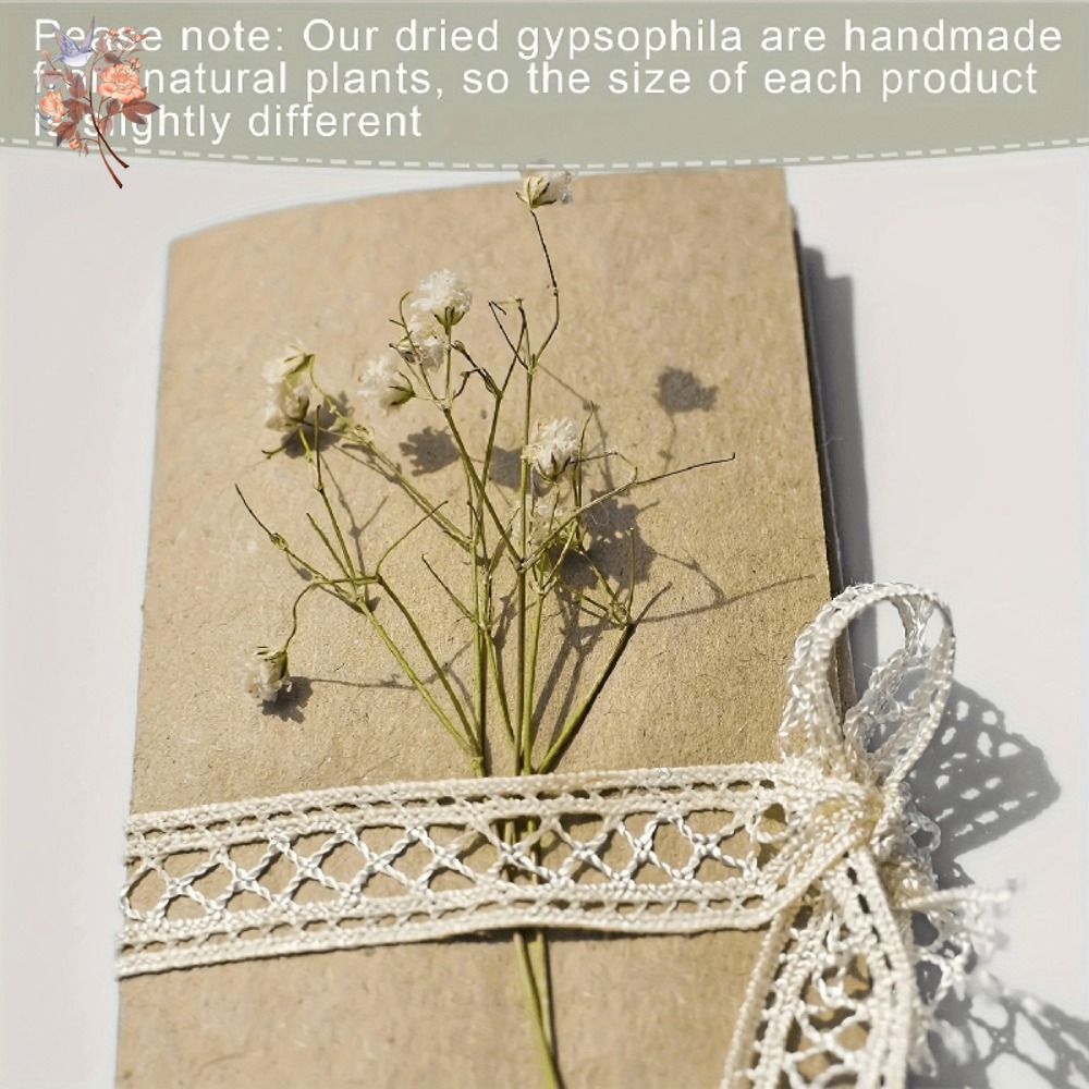 100pcs Mini Dried Baby's Breat - Embellish Craft incelemesi ve fiyatı